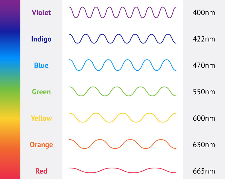 Why Does the Rainbow have 7 Colors?