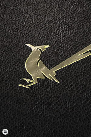 RoadRunner---Logo-design---1