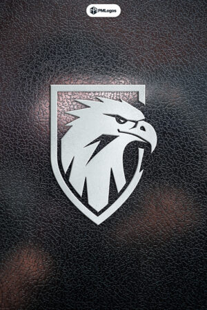 Vector Eagle Logo Design Template